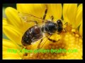 Discover The Amazing Health Benefits Of Bee Pollen