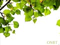 Apologiize [ Remix ] - OMIT