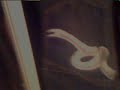 My room