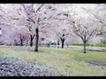 Moodswings Moodfood Hairy Piano (Remix)