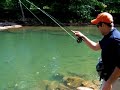 Fly Fishing West Virginia Wild Brown Trout 19 inch catch