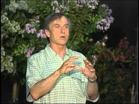 Diet vs Drugs – Dr. John McDougall