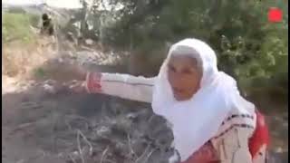 عمرها (٨٥) عام تزور قريتها (بيت نبالا) قضاء مدينة الرملة  في فلسطين ، وتستطيع العثور على مكان منزلها عمرها (٨٥) عام تزور قريتها (بيت نبالا) قضاء مدينة الرملة  في فلسطين ، وتستطيع العثور على مكان منزلها