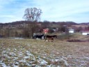 Nov_21_22 029.MOV