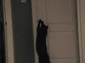 amazing-mephistopheles.html