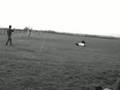 Bande de clapin