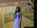 Xuan Dinh Hoi 2007 (Dem Giao Thua Nghe Mot Khuc Dan Ca)