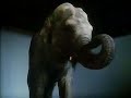 Commodore 64 Advert - Elephant & Mouse