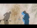 the tellers - hugo