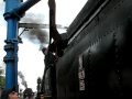 Nawadnianie Tr12-25, 1/2, Wolsztyn 02.V.2008