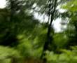 videos de umbrella aerial ropeway