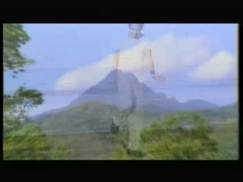 生在海南