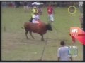 Murió Corneado Por Un Toro