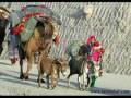 videos de Mobin-kochai attan-best music