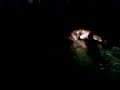 piscinaso de a�o nuevo