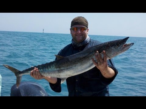Avet SX vs Kingfish in Matagorda