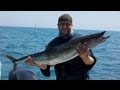 Avet SX vs Kingfish in Matagorda