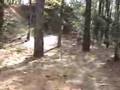 ATV Riding Kisatchie Forest