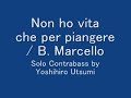 Non ho vita che per piangere / B.Marcello by solo Doublebass