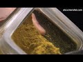 EL COCINERO FIEL #251 - CREMA DE COLIFLOR AL CURRY  (BUEN FINDE!)