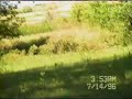 Area 51 Govt. Censored Video