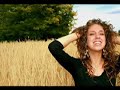 Gratitude, Abundance, and Thanksgiving