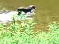 Puppy_fischen_Fischach