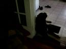 うたう犬動画
