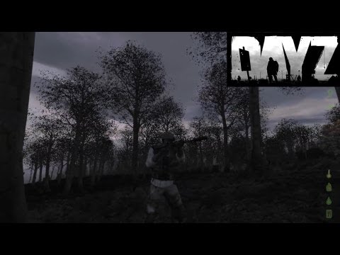 how to change day z skin