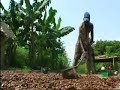 Enemies Within - Ivory Coast