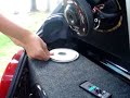 2 bicho papao en un ford ka
