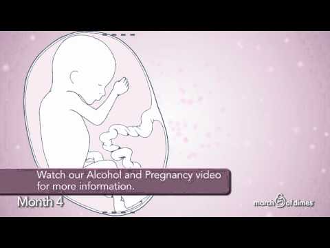 how to care in pregnancy in 4th month