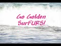 Coronado Surfing