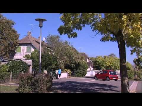 La vidéo du jour