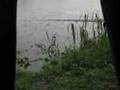 Bad-Weather-Carp-Session