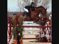 Equestrian sports 2