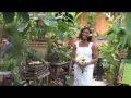 Jardin Botanico Puerto Vallarta por PromovisionPV.com