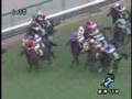 2007 鳴尾記念 naruo kinen