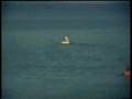 faroz'umuz 1978