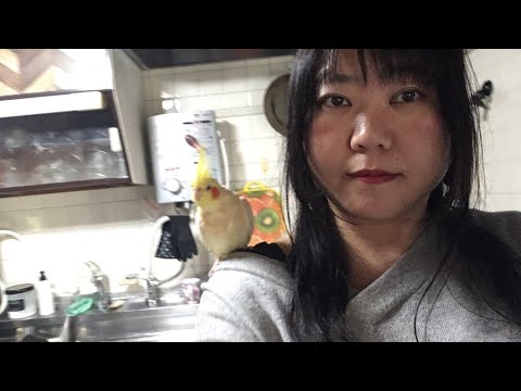 動画