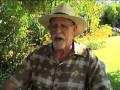 Remembering Messiah of Evil (part two)