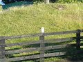 Shoot milk bottle with talon/storm
