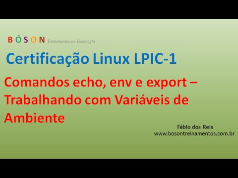 how to echo in linux