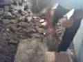 videos de frigorifico L