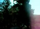 mammouth party/Collioure