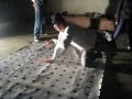 Jerelle jun and Jermie Jay break sesh Jerelle jun and Jermie Jay break sesh