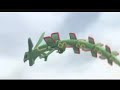Super Smash Bros. Brawl - Fox's Misfortune Trailer