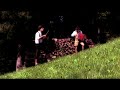 Der Holzhacker