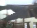 videos de el berru poseido