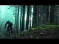 Amazing Freeride Forest